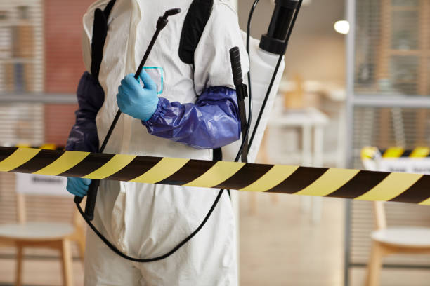 Professional Sewage Cleanup technician working in West Yarmouth, MA